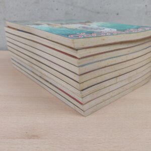 Miniatura 3 per Volto Nascosto Collezione dal 1 al N. 10