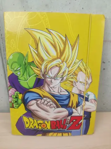 Reperto originale DragonBall Z - Cartelletta Portadocumenti - Condizioni USATO CIB