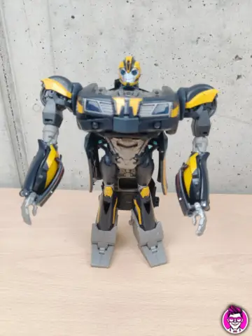 Reperto originale Bumblebee - Transformers DinoBot Robots Beast Hunters Talking - Condizioni USATO CIB